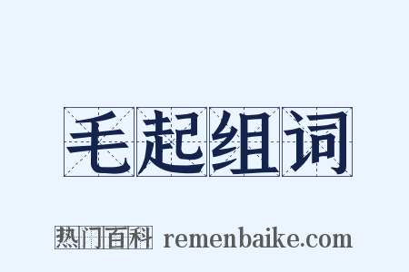 毛起组词是什么意思的图片